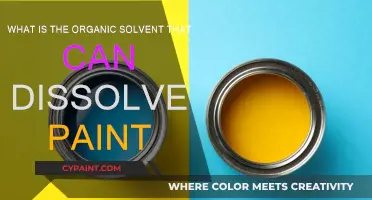 Solvents That Dissolve Paint: Exploring Organic Options