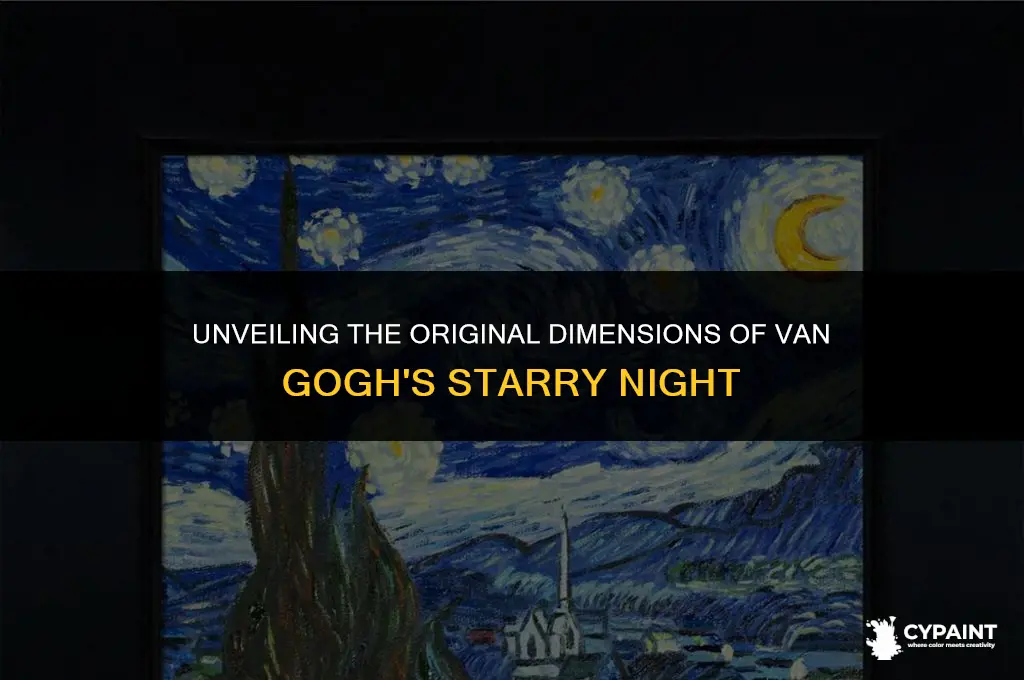 what is the original size of the painting starry night