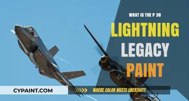 P-38 Lightning Legacy Paint: History, Restoration, and Preservation Techniques