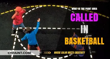 Understanding the Paint: What's the Key Area in Basketball Called?