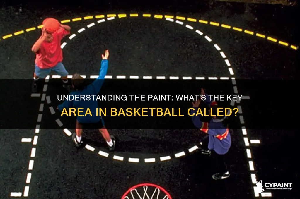 what is the paint area called in basketball