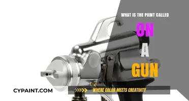 Understanding Gun Paint: What is the Coating Called on Firearms?