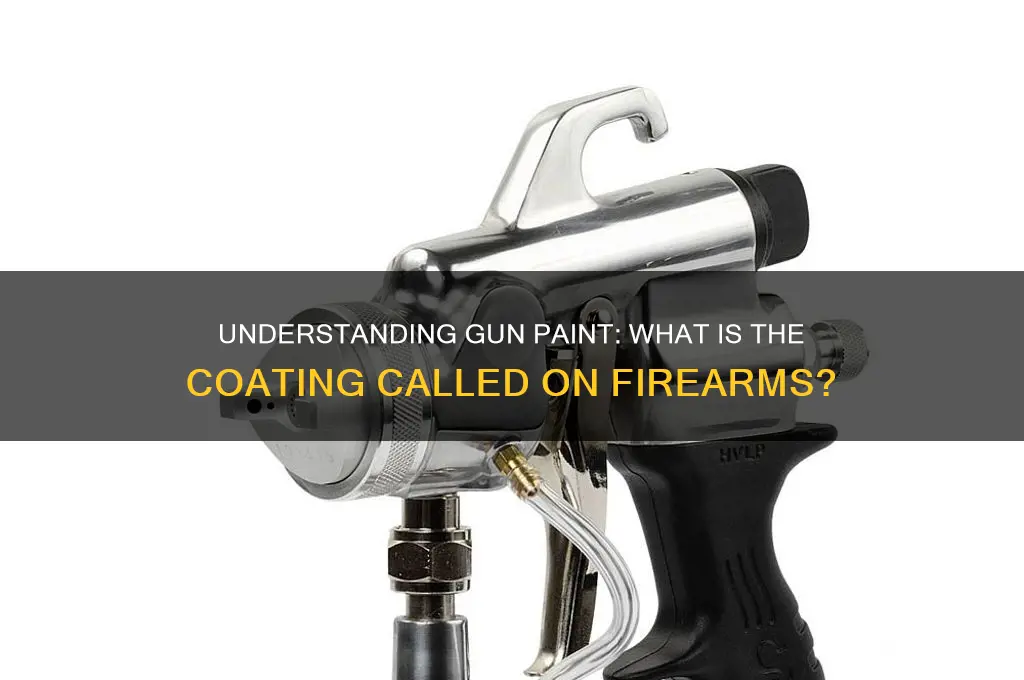what is the paint called on a gun