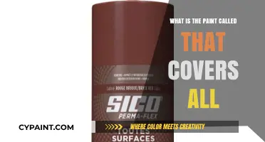 Discover the Ultimate Paint: What is the Paint Called That Covers All?