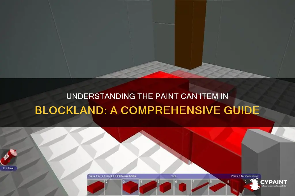what is the paint can item called blockland