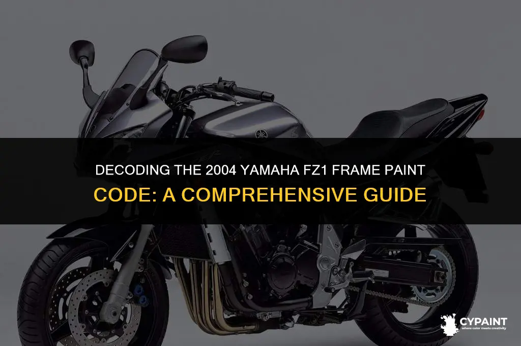 what is the paint code for 2004 yamaha fz1 frame