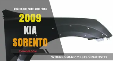 Decoding the Perfect Paint Match for Your 2009 Kia Sorento