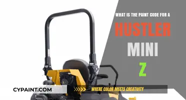 Decoding the Perfect Paint Code for Your Hustler Mini Z