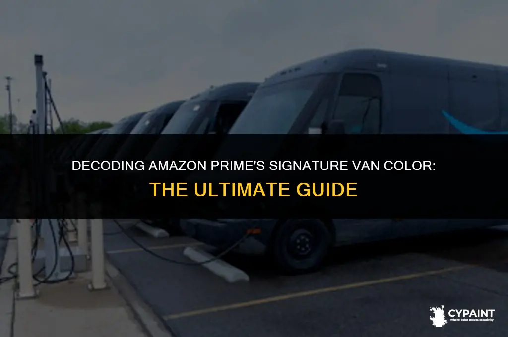 what is the paint code for amazon prime delivery vans