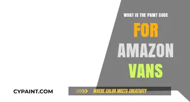 Amazon Vans Paint Code: Unlocking the Exact Color Match