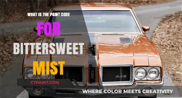 Discovering the Paint Code for Bittersweet Mist Color