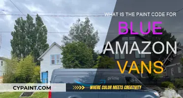 Blue Van Paint Code: Amazon's Color Choice