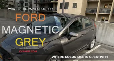 Ford Magnetic Grey: Paint Code and Color Guide