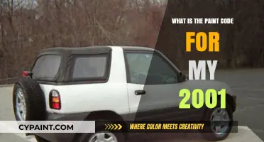 Finding Your 2001 Vehicle's Paint Code: A Quick Guide