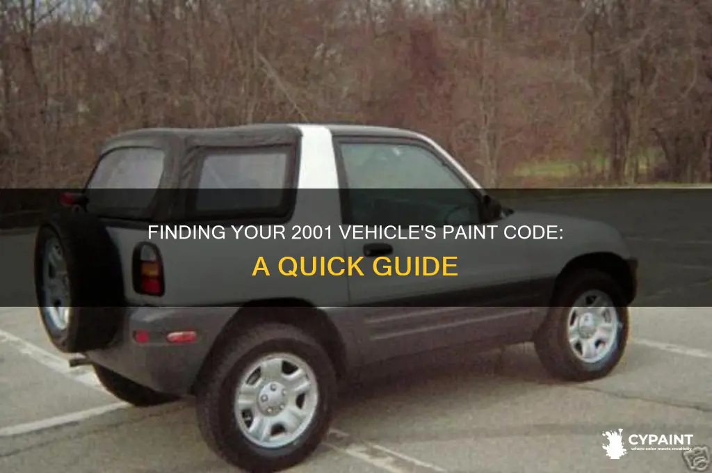 what is the paint code for my 2001