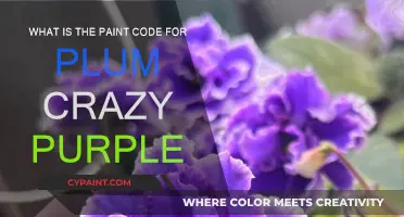 Plum Crazy Purple: Finding the Perfect Paint Code