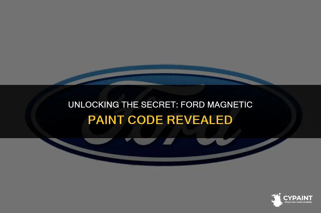 what is the paint code for the ford magnetic paint