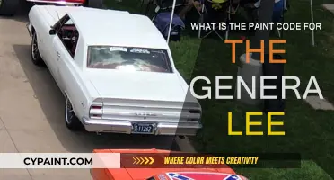Finding the General Lee's Paint Code