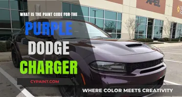 Decoding the Perfect Purple: Dodge Charger's Signature Paint Code Revealed