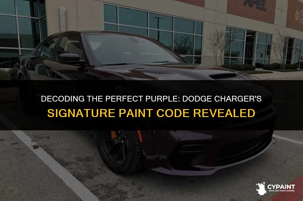 what is the paint code for the purple dodge charger