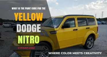 Decoding the Perfect Yellow: Dodge Nitro's Signature Paint Code Revealed