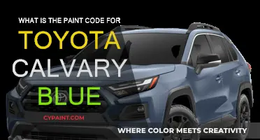 Calvary Blue Toyota: Paint Code and Color Guide