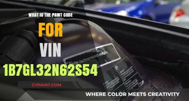 Find the Paint Code for VIN 1B7GL32N62S542517: A Quick Guide