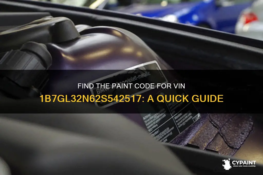 what is the paint code for vin 1b7gl32n62s542517