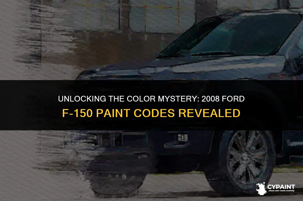 what is the paint code on a 2008 ford f-150
