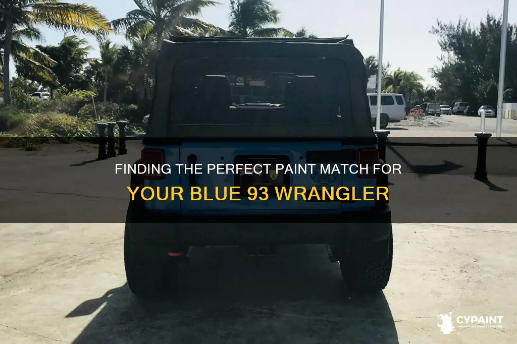 what is the paint code on blue 93 wrangler