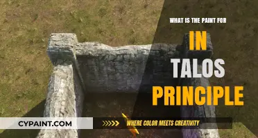 Understanding the Purpose of Paint in The Talos Principle