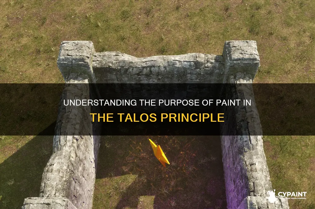 what is the paint for in talos principle
