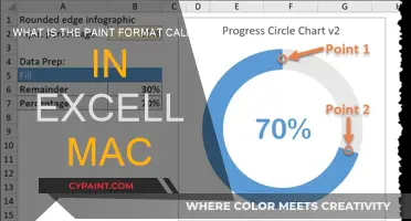 Excel Mac: Understanding Paint Format Feature