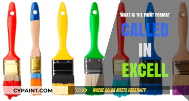 Understanding Excel's Paint Format Feature: A Comprehensive Guide