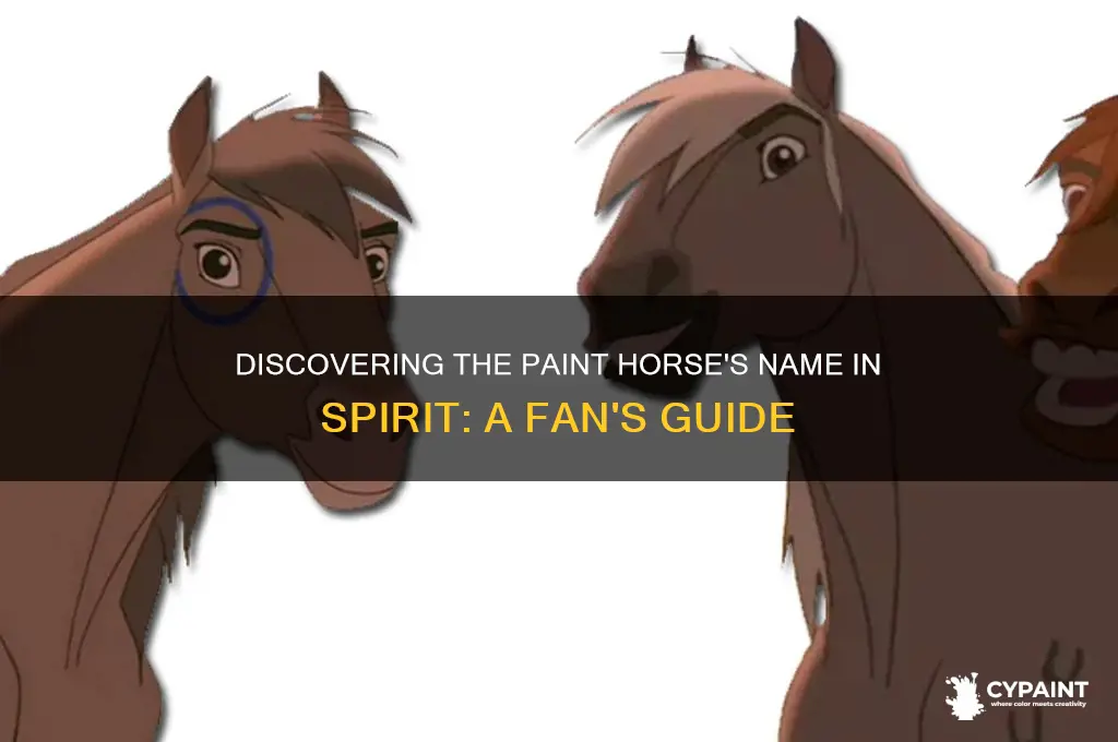 what is the paint horses name in spirit