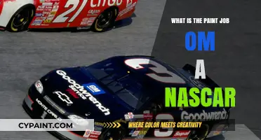 Understanding the Vibrant Paint Job on a NASCAR Race Car