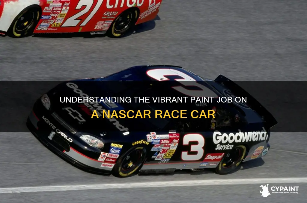 what is the paint job om a nascar