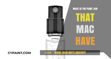 Exploring Mac's Signature Paint Job: A Detailed Look at Their Finish