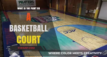 Understanding the Paint: Basketball Court's Key Zone Explained