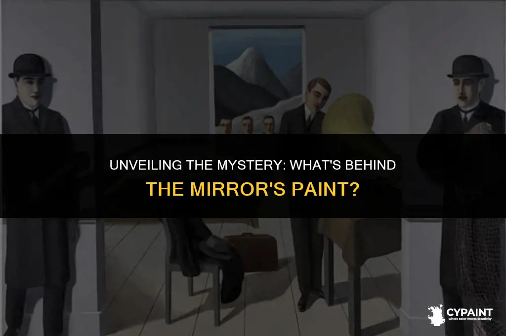 what is the paint on the back of a mirror