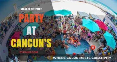 Cancun's Vibrant Paint Party: A Colorful Beachfront Celebration Explained