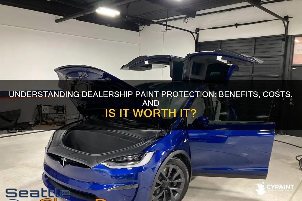 what is the paint protection at a dealership
