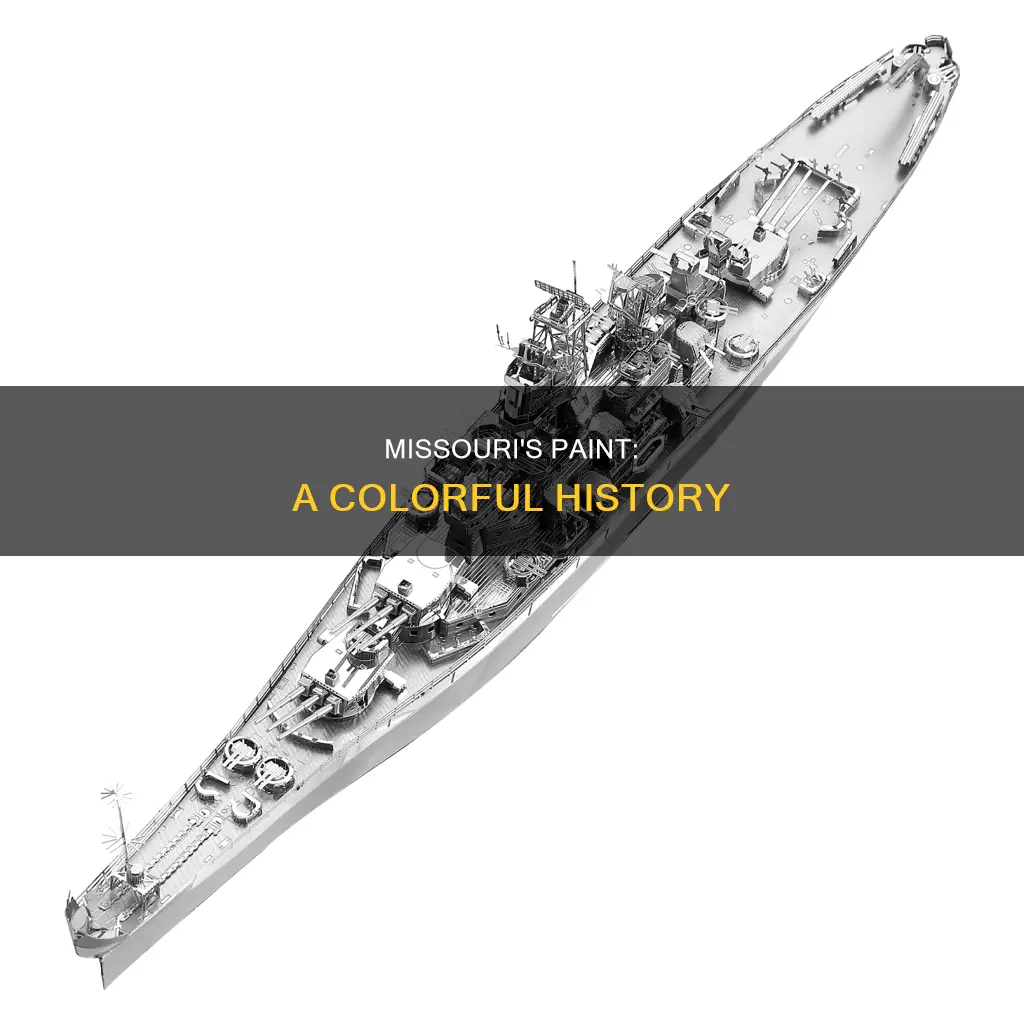 what is the paint scheme of the uss missouri