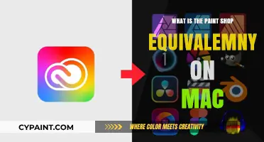 Discover Mac's Best PaintShop Pro Alternative for Creative Design