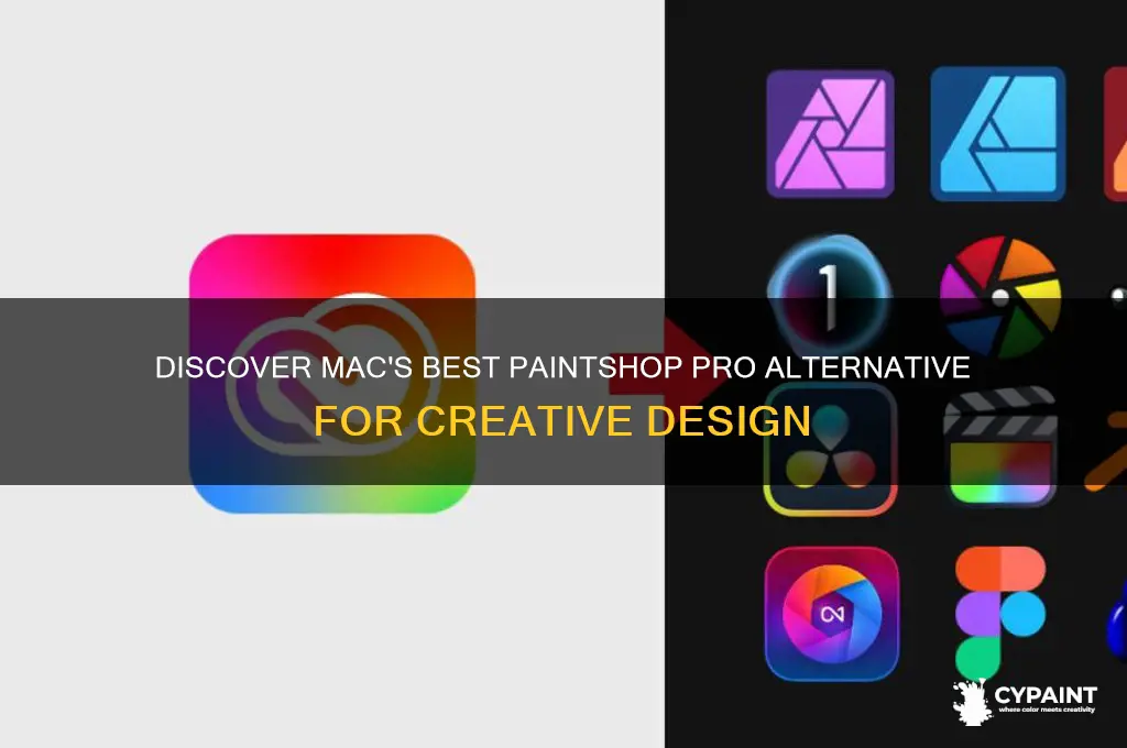 what is the paint shop equivalemny on mac