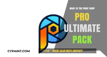 Exploring PaintShop Pro Ultimate Pack: Features, Tools, and Benefits