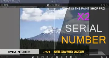 The Ultimate Guide to Paint Shop Pro X2 Serial Numbers