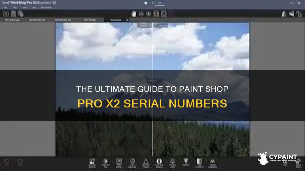 what is the paint shop pro x2 serial number