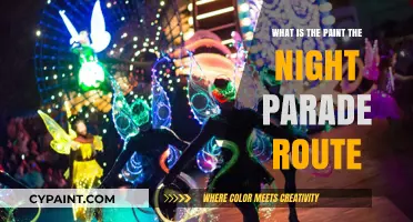 Paint the Night Parade Route: A Magical Disney Experience Guide