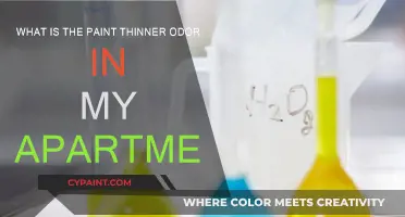 Paint Thinner Odor: Why Does My Apartment Smell?